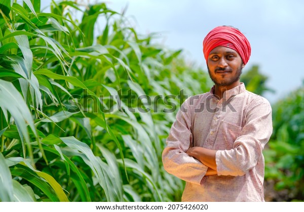 young indian farmer at corn\
field.