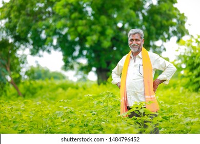 Young Indian Farmer At Cotton Field , India