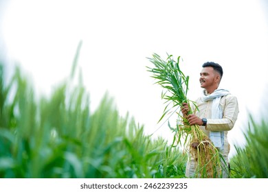 Young Indian farmer in a field of green wheat - Powered by Shutterstock