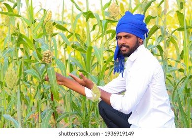 Young indian farmer at sorghum field