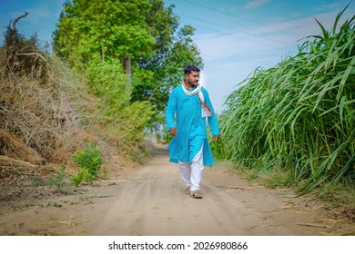 Young Indian Farmer Walking At Green Sugarcane Field