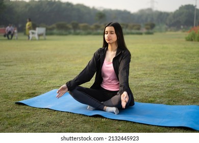 28,102 Indian Yoga Stock Photos, Images & Photography | Shutterstock