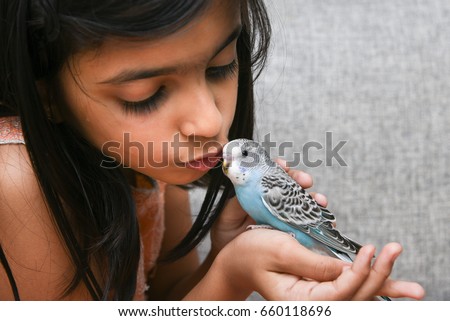 Young Indian girl  / kid playing with blue pet love bird Budgie on her hand, Kerala India. Love animals and taking care of pets concept. Kissing a friend bird