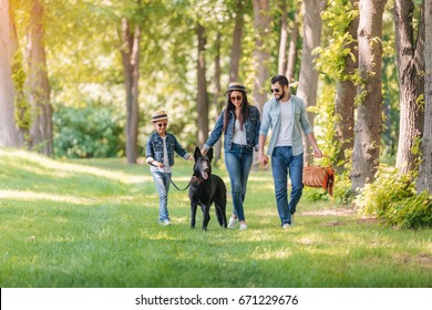 Young Interracial Family With Dog Holding Hands And Walking In Sunny Forest