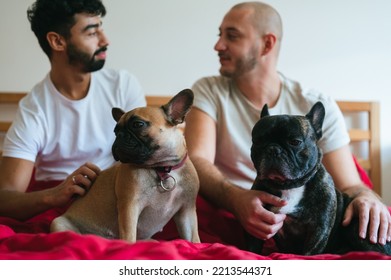 Young Interracial Gay Couple Facing Each Other, Playing With Dogs In Bedroom. Homosexual Men, Caucasian And Mixed Race, Relaxing In Red Bed With Pair Of French Bulldogs. LGBTQ And Pets  Concept