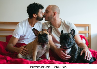 Young Interracial Gay Couple Kissing In Bedroom, Having Pair Of Big Dogs In Their Laps. Homosexual Men, Caucasian And Mixed Race, Relaxing In Bed With Pair Of French Bulldogs. LGBTQ And Pets  Concept.