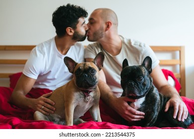 Young Interracial Gay Couple Kissing In Bedroom, Having Pair Of Big Dogs In Their Laps. Homosexual Men, Caucasian And Mixed Race, Relaxing In Bed With Pair Of French Bulldogs. LGBTQ And Pets  Concept