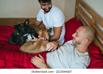 Young Interracial Gay Couple Playing With Dogs In Bedroom. Homosexual Men, Caucasian And Mixed Race, Relaxing In Red Bed With Pets. LGBTQ Concept