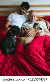 Young Interracial Gay Couple Playing With Dogs In Bedroom. Homosexual Men, Caucasian And Mixed Race, Relaxing In Red Bed With Pets. LGBTQ Concept