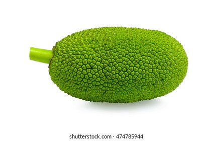 Young Jack Fruit Isolated On White Background