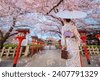 kyoto cherry blossom