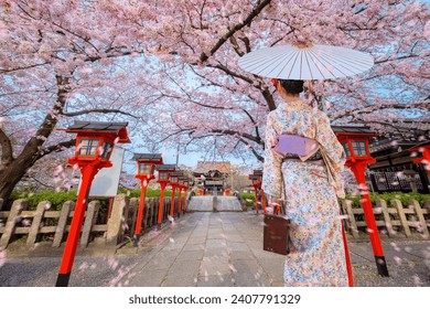 Young Japanese woman in traditional Kimono dress at Rokusonno shrine during full bloom cherry blossom period in Kyoto, Japan