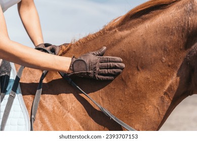 Young jockey riding on the back of his horse caressing its skin. Unrecognizable person with gloves touching neck of equestrian animal. - Powered by Shutterstock