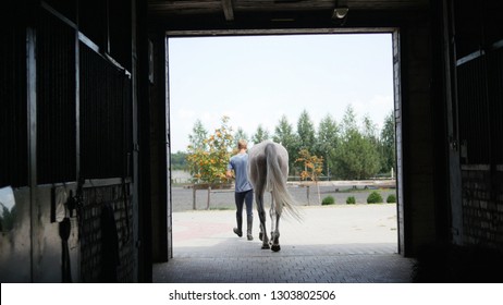 Young jockey walking with a horse out of a stable. Man leading equine out of barn. Male silhouette with stallion. Rear back view. Love for animal. Beautiful background. - Powered by Shutterstock