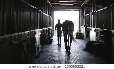 Young jockey walking with a horse out of a stable. Man leading equine out of barn. Male silhouette with stallion. Rear back view. Love for animal. Beautiful background.