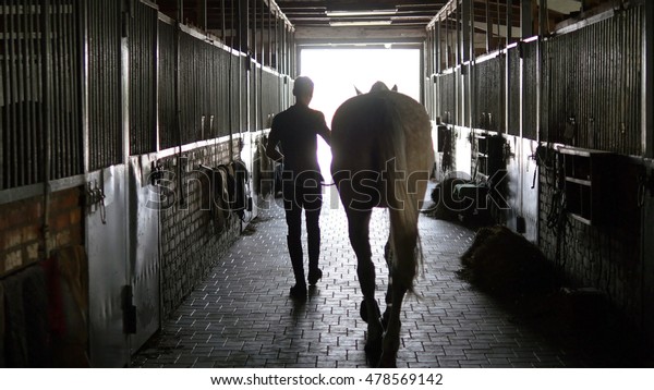 Young\
jockey is walking with a horse out of a stable. Man leading horse\
out of stable. Rear back view. Steadicam\
shot.