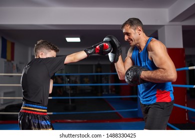 Young Kickbox Fighter Hitting Mitts His Stock Photo (Edit Now) 1488330434