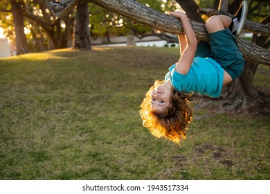 Young Kid Boy Playing And Climbing A Tree And Hanging Upside Down. Teen Boy Playing In A Park
