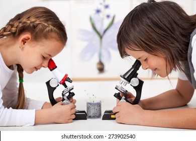 Young Kids In Science Lab Study Samples Under The Microscope - Biology Class