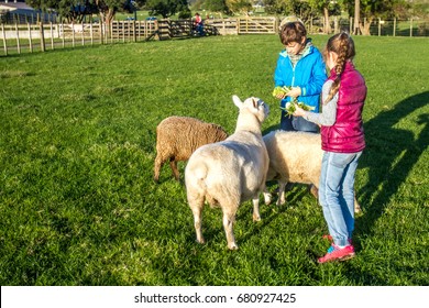 young kids taking care of animals on a farm