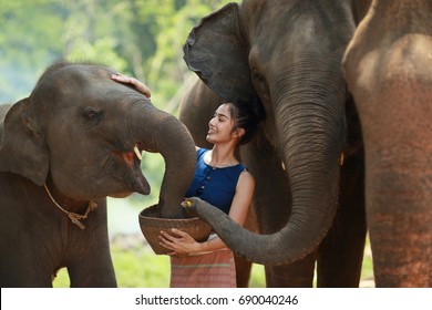 The Young Lady Is Feeding Some Food To Her Love Friend Elephants..