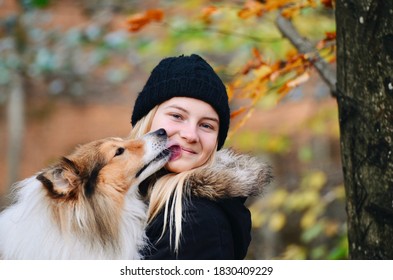 Young Lady And A Loving Sheltie Shetland Sheepdog Dog