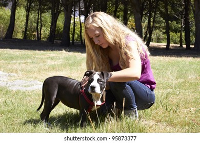 Young Lady Putting Leash On Pit Bull Dog Breed