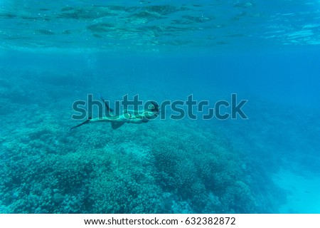 Young lady swimming underwater over coral reefs in sea