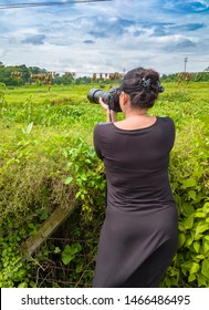 Young Lady Wildlife Photographer Taking Photos Of Baya Weaver With Zoom Lens.