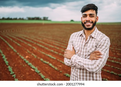 Young Latin Farmer Working On Peanut Plantation. Brazilian Farmer Looking At Camera.