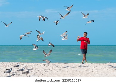 Young latin man dressed in blue shorts and red shirt feeds seagulls on the shore of the beach on a sunny day. Behind him the sea with a beautiful turquoise color - Shutterstock ID 2259115619