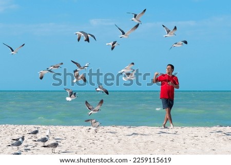 Young latin man dressed in blue shorts and red shirt feeds seagulls on the shore of the beach on a sunny day. Behind him the sea with a beautiful turquoise color