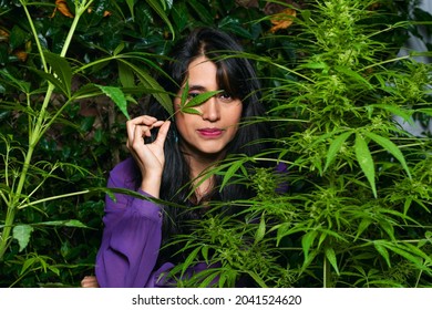 Young Latin woman among medicinal cannabis plants while covering one of her eyes with a marijuana leaf