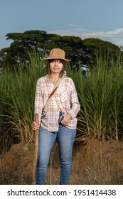 Young Latin Woman Farmer With Serious Expression Looking Right At The Camera, Posing In Front Of The Sugarcane Crop. Agriculture And Cultivation Concept