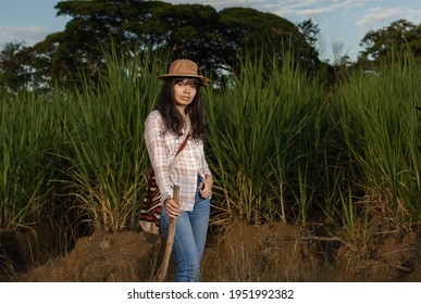 Young Latin Woman Farmer With Serious Expression Looking Right At The Camera, Posing In Front Of The Sugarcane Crop. Agriculture And Cultivation Concept