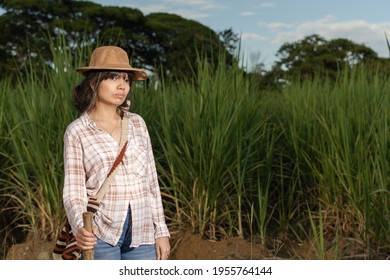 Young Latin Woman Farmer With Serious Expression, Posing In The Sugarcane Crop. Agriculture And Cultivation Concept