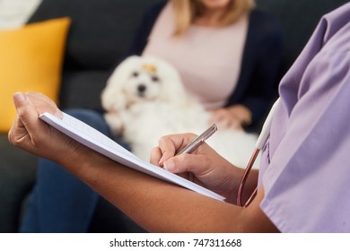 Young Latina Woman Working As Veterinary, Vet Talking To Dog Owner During House Call. Animal Doctor Writing Note For Pet Prescription Medicine At Home. Close-up Of Hand Holding Pen