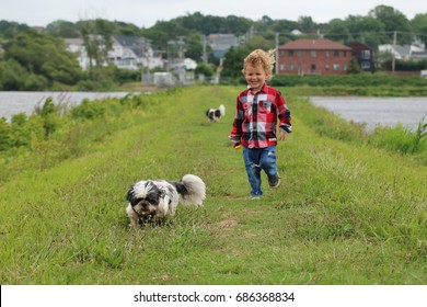 A young little boy is walking his two dogs on a green grassy path. He is dressed for cool weather with a flannel shirt and ripped jeans. He is a country boy and the dogs are not on a leash.