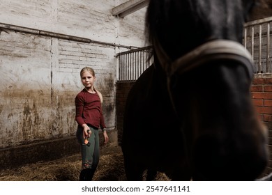 Young little teenager kid girl cleaning grooming chestnut horse back hair brush tool horse at stable ranch. Horse ride school farm life. Cute little blond girl kid care brown horse. Equine hobby work - Powered by Shutterstock