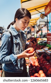 Young Local Asian Lady In Farmer Market On Weekend Shopping For Groceries. Beautiful Exchange Student Study Abroad Picking Apple In Outdoor Vendor. Girl In Holding Fruit Choosing Buying On Sunny Day.