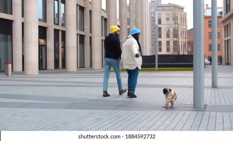 Young Lovely Diverse Couple Walking With Dog On Street. Back View Of African Woman And Caucasian Man In Love Holding Hands And Walking With Pug Dog On City Street