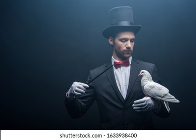 young magician in hat showing trick with dove and wand in dark room with smoke  - Powered by Shutterstock