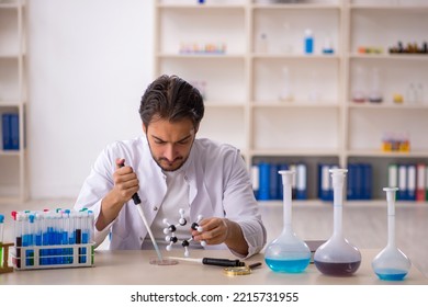 Young Male Chemist Working At The Lab