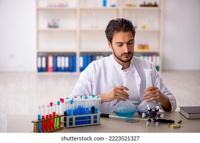 Young Male Chemist Working At The Lab