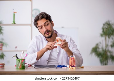 Young Male Dentist Working In The Clinic