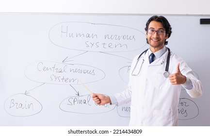 Young Male Doctor Neurologist In Front Of Whiteboard