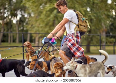 Young Male Dog Walker On The Job Outisde; Dog Walker Lifestyle