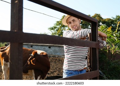 Young Male Farmer In Paddock With Cows Outdoors