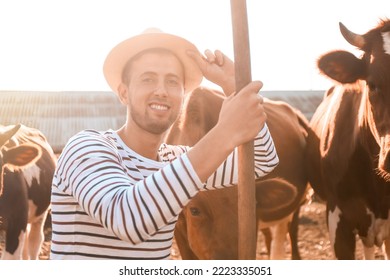 Young Male Farmer In Paddock With Cows Outdoors