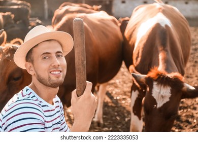 Young Male Farmer In Paddock With Cows Outdoors